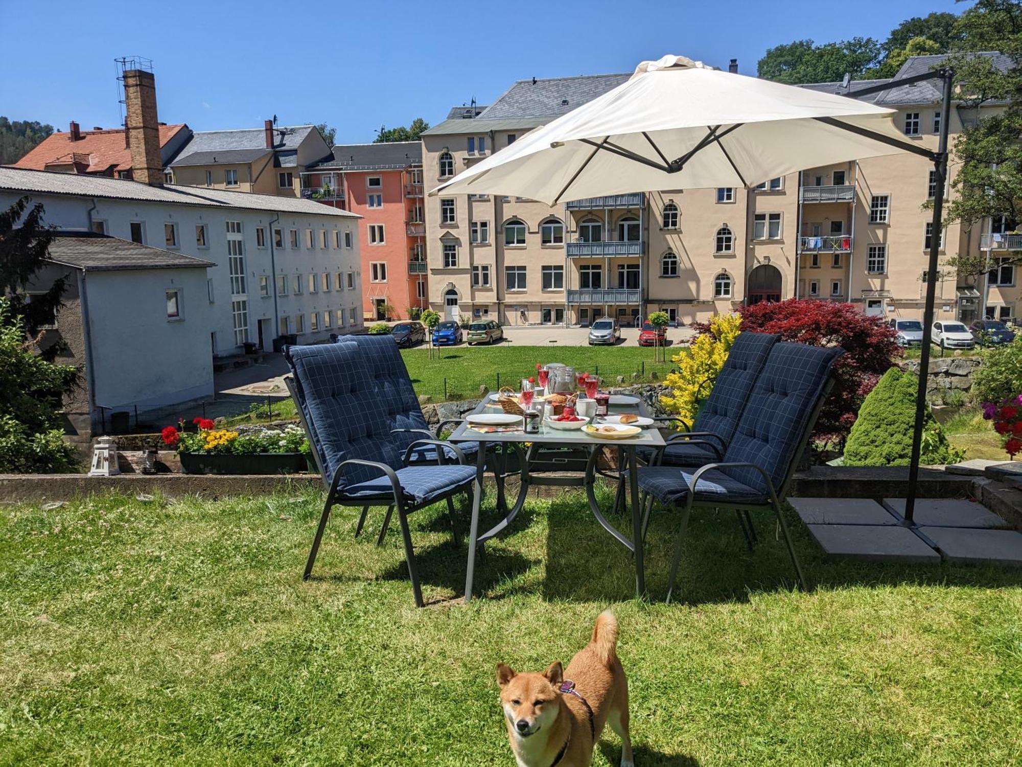 Uo3 - Urlaubsmagie- Urlaubsoase Mitten In Sebnitz Buitenkant foto